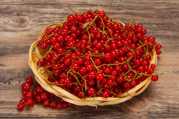 Sweet tasty fresh Red currant