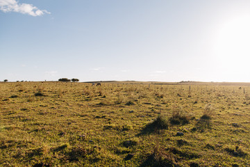 plowed field in autumn