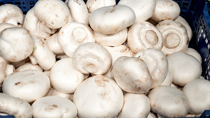 fresh champignons in a basket at the market.