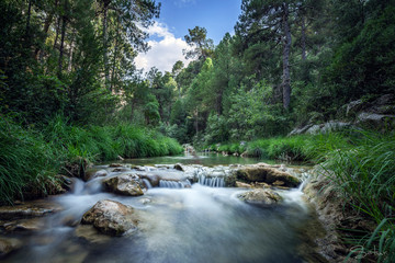 Beautiful river escorted by green vegetation and a blue sky