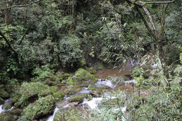 Beautiful landscape of river falls over mossy rocks, stones cover with moss, in a Mountain in Sichuan, China