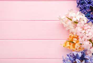 Bunch of hyacinths flower on a pink background.