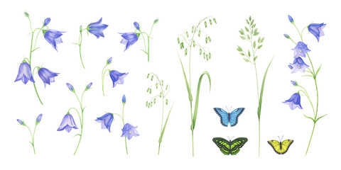 Set of illustrations of blue bells, meadow herbs and butterflies, watercolor painting
