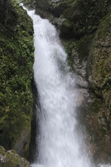 Beautiful landscape of a waterfall in a forest in a Mountain in Sichuan, China