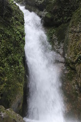 Beautiful landscape of a waterfall in a forest in a Mountain in Sichuan, China