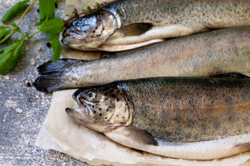 Salmon. Fresh raw salmon fish with culinary spices and herbs on a gray countertop.