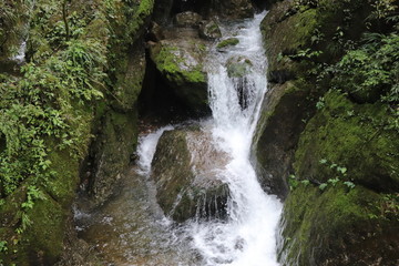 Naklejka premium Beautiful landscape of cascade falls over mossy rocks, stones cover with moss, in a Mountain in Sichuan, China