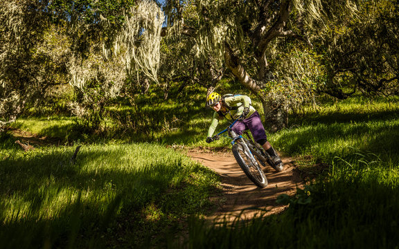 Woman riding on mountainbike down single trail through forest, Fort Ord National Monument Park, Monterey, California, USA