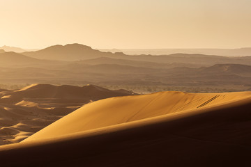 Fototapeta na wymiar Desert Sahara with beautiful lines and colors at sunrise. Merzouga, Morocco