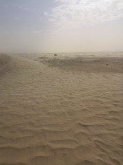 footprints on the sand