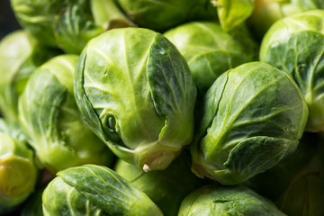 Fototapeta premium Raw Organic Green Brussel Sprouts