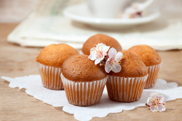 Small freshly muffins on a white napkin are ready to serve with coffee. Baking decorated with apricot flowers.
