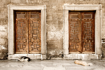 Two dogs sleep on the floor, next to two large old Arabian wooden doors with Arabian drawings in Istanbul