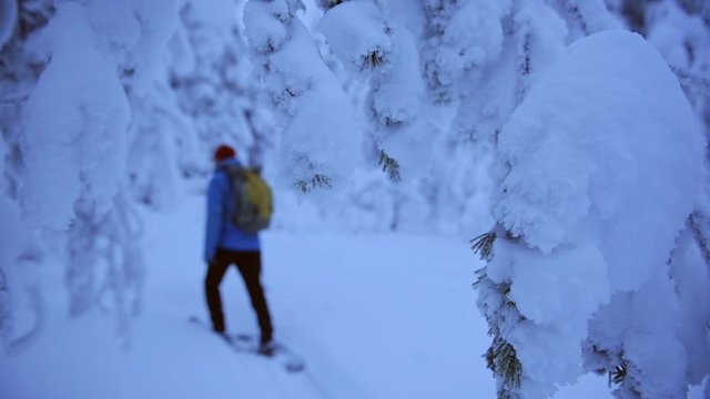 A Man In Winter Clothes Slowly Walking With A Snowboard In A Frozen Surroundings. -wide shot
