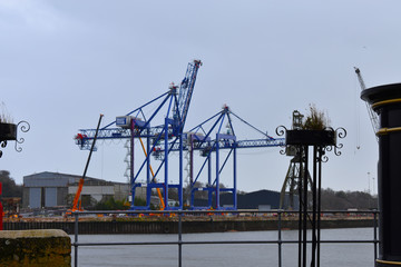 Industrial Blue Cranes in Cork Harbour