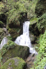 Beautiful landscape of a waterfall in a forest in a Mountain in Sichuan, China