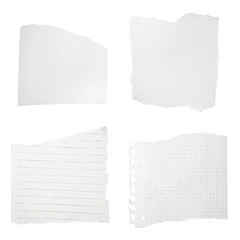 Set of different ripped notebook papers on white background