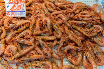 Fresh red big ocean shrimps on ice in the local market of Ortigia island in province of Syracuse in Sicily