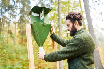 Forester controls a bark beetle trap