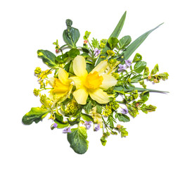 Floral composition with yellow daffodils on white background