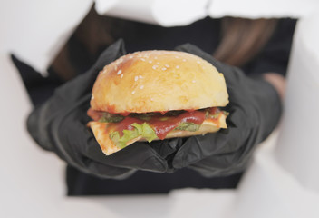 hamburger with french fries