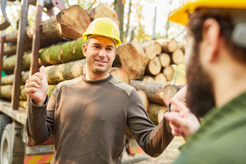 Forest workers planned to load the logs