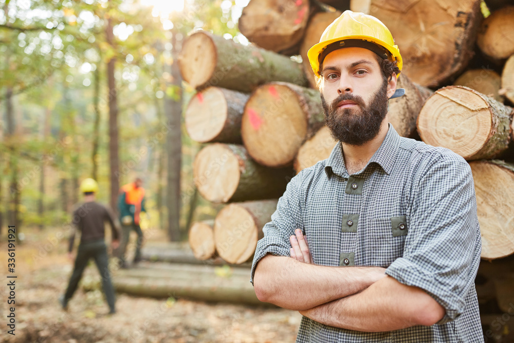 Wall mural Forest workers loading long logs