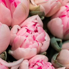 a beautiful bouquet of pink tulips