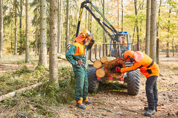 Two forest workers control pest infestation