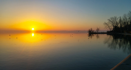 Beautiful sunset over a lake, with flying birds and calm, smooth water, and the pier and some trees. 
