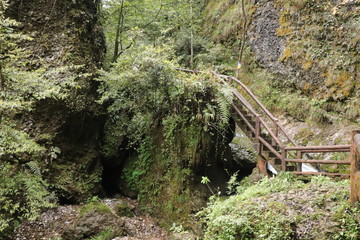  wooden bridge across a river in a mountain forest in Sichuan, China