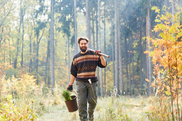 Forest worker with pine seedling for reforestation