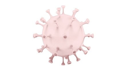 3d illustration of the corona virus cell