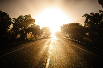 Tar road with sun ahead - obrazy, fototapety, plakaty