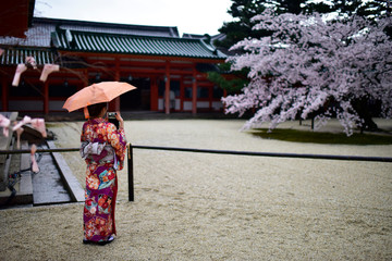 Fototapeta premium japanese woman with umbrella