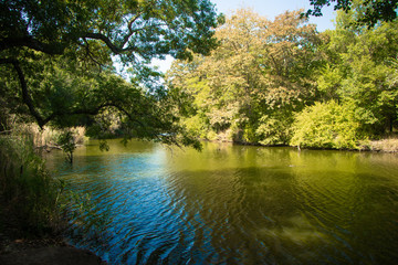 the river ropotamo from Bulgaria-Primorsko-Black Sea