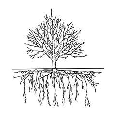 Black outline hand drawing vector illustration of a leafless tree with roots in winter isolated on a white background