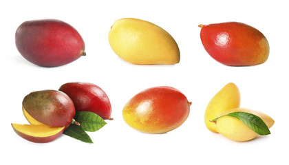 Set of delicious mangoes on white background