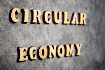 Circular economy text