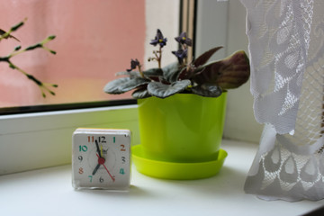 A small clock and a light green pot with a flower stand on a windowsill. Plenty of room for text.