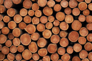 background of chopped wood