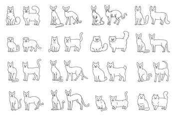 Fototapeta premium Cat breeds full face and profile. Vector black white pets set contour sketch isolated illustration.