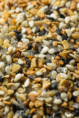 Raw Organic Everything Bagel Seasoning