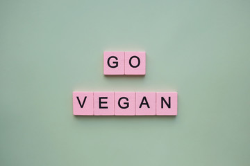 Go vegan words wooden cubes on a light background