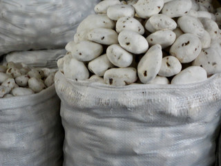 Bolsa de papa blanca, mercado central de San Pedro, Cuzco, Perú