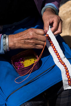 Canola flower fields