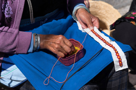 Canola flower fields