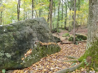 Boulder in woods