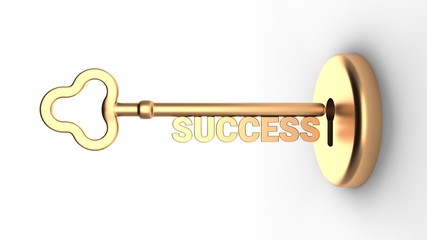 Key to Success and a keyhole isolated on white. 3D-rendering.