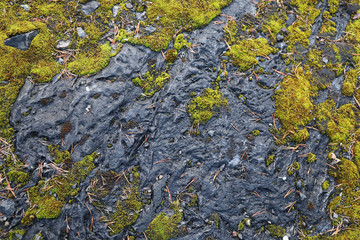 ancient stone covered with moss